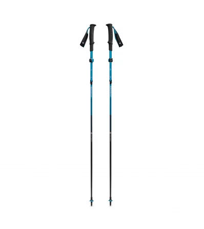 Щеки Black Diamond Distance Carbon FLZ Poles